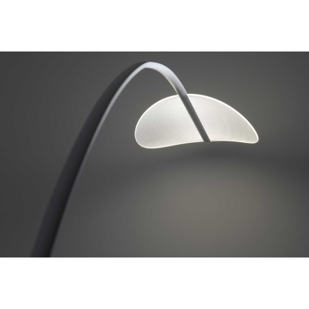 Design Floor Lamp - Diphy