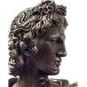 Statua in bronzo su marmo - Busto Apollo