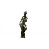 Statua in bronzo - Venere di Boboli