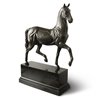 Anatomical Horse bronze and marble statue