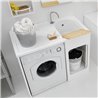 Outdoor Cabinet sink with washing machine compartment - Lavacril