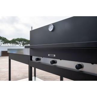 Outdoor kitchen with BBQ and induction hob - Wild | ISA