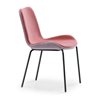 Padded chair - Dalia S MT