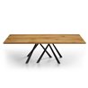 Rectangular table with solid wood top - Forest