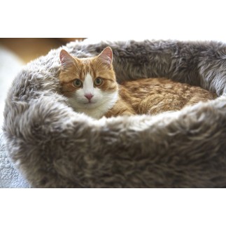 Cat bed in faux fur - Lana