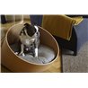 Covo dog and cat bed in wood