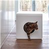 Cat litter box in aluminium - Sito