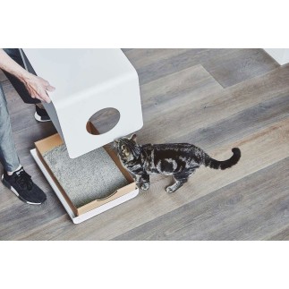 Cat litter box in aluminium - Sito | Miacara