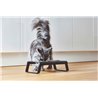 Double Bowl for cat and dog in aluminium - Desco