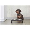 Double Bowl for cat and dog in aluminium - Desco