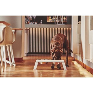 Double Bowl for cat and dog in aluminium - Desco | ISA