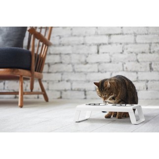 Double Bowl for cat and dog in aluminium - Desco | ISA