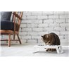 Double Bowl for cat and dog in aluminium - Desco