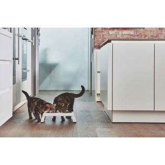 Double Bowl for cat and dog in aluminium - Desco | ISA