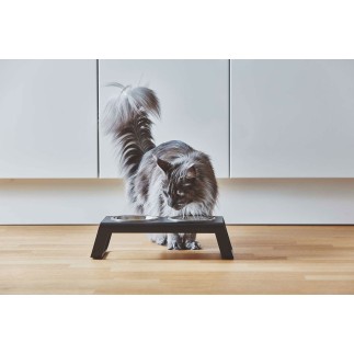 Double Bowl for cat and dog in aluminium - Desco | ISA