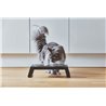 Double Bowl for cat and dog in aluminium - Desco