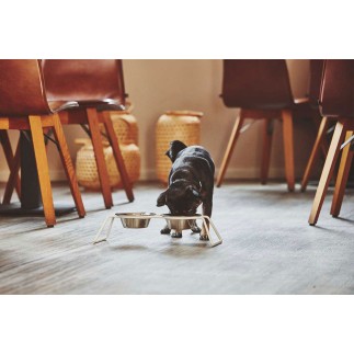 Double bowl in steel for cat and dog - Elsa | Miacara