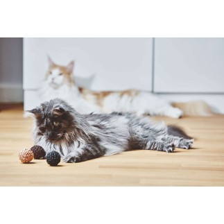 Set of 3 cat toy balls - Filo | ISA Project