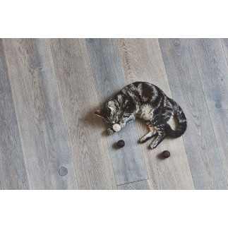 Set of 3 cat toy balls - Filo | ISA Project