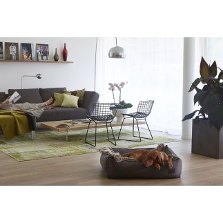 Dog bed in fabric - Nube | Miacara