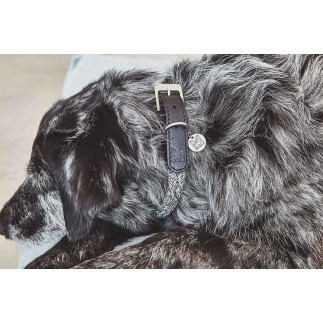 Dog collar in cotton and leather - Lucca | Miacara