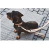 Bergamo dog collar in leather