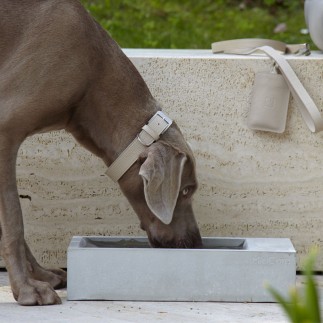 Concrete bowl for dog - Trogolo | Miacara