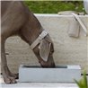 Concrete bowl for dog - Trogolo