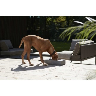 Concrete bowl for dog - Trogolo | Miacara