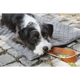 Coperta per cani - Cosmo - Accessori per Cani - ISA Project