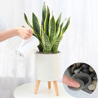 Self Watering Planter - Fred | IsArreda