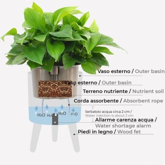 Self Watering Planter - Fred | IsArreda