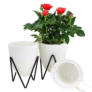 Indoor and Outdoor Self Watering Planter - Barney | IsArreda