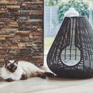 Cuccia per Gatto in Rattan Naturale - Perla