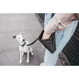 Dog Treat Pouch - Lupo | Miacara