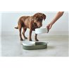 Double Porcelain Bowl for Cat and Dog - Lizzy