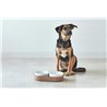 Double Porcelain Bowl for Cat and Dog - Lizzy