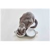 Double Porcelain Bowl for Cat and Dog - Lizzy