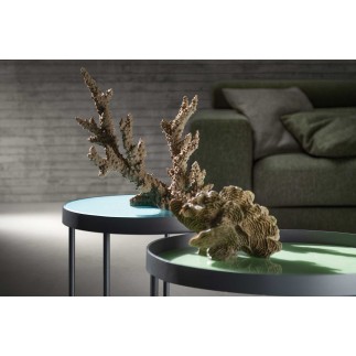 Coffee Table with Glass Top - Case | Samoa Divani