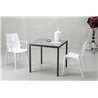 White or Transparent Dining Room Chair - Vanity