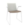 Chair with Armrests with Sled Legs - Skin Patin