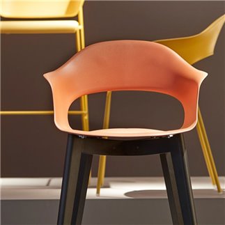 Sedia in Legno e Plastica - Natural Lady B | Scab