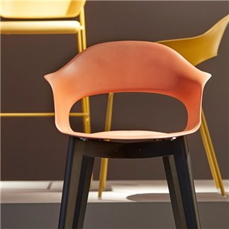 Wooden and Plastic Chair - Natural Lady B | ISA Project