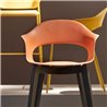 Wooden and Plastic Chair - Natural Lady B