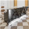 Reception desk in glass - Alpa