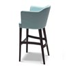 Solid Wood Stool with Backrest - Truman