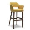 Velvet Bar Stool with Design Backrest - Emily