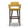 Velvet Bar Stool with Design Backrest - Emily