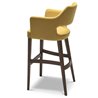 Velvet Bar Stool with Design Backrest - Emily