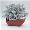 Steel Outdoor Planter - Barca